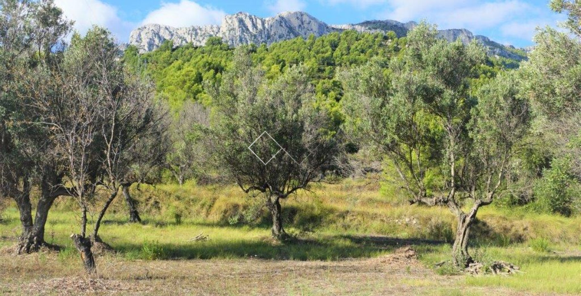  - Plots and Land - Guadalest - Partida Cherc