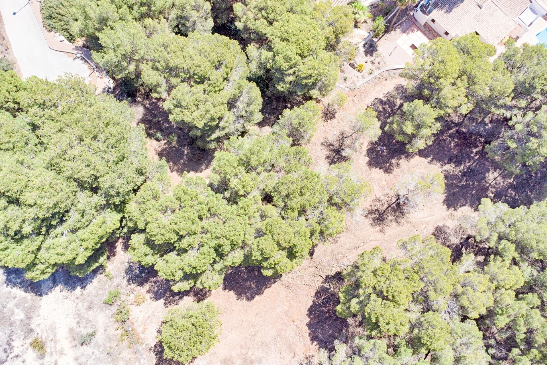 Alquiler - Parcelas y Terrenos - Moraira