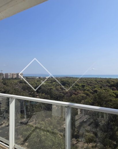 Apartamento / Piso -  - Guardamar del Segura - Guardamar del Segura