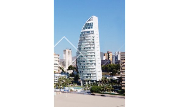 Apartamento / Piso - Reventa - Benidorm - Playa Poniente