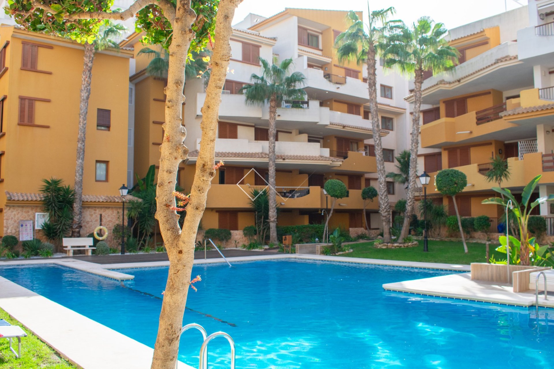  - Apartamento / Piso - Torrevieja - Punta Prima