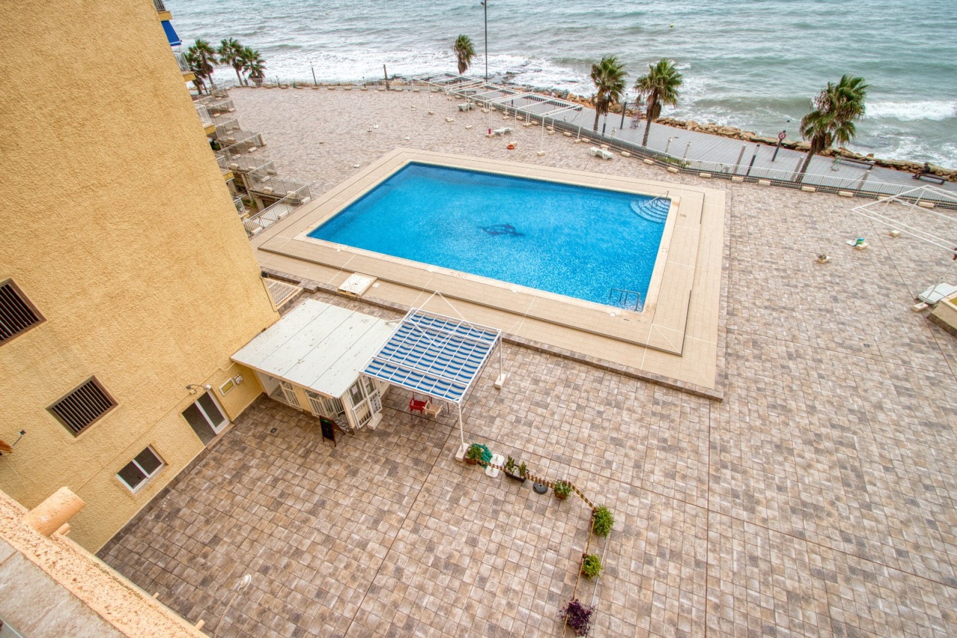  - Apartment / Flat - Torrevieja - Playa del Cura