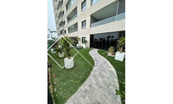 Appartement / Logement -  - Torrevieja - Punta Prima