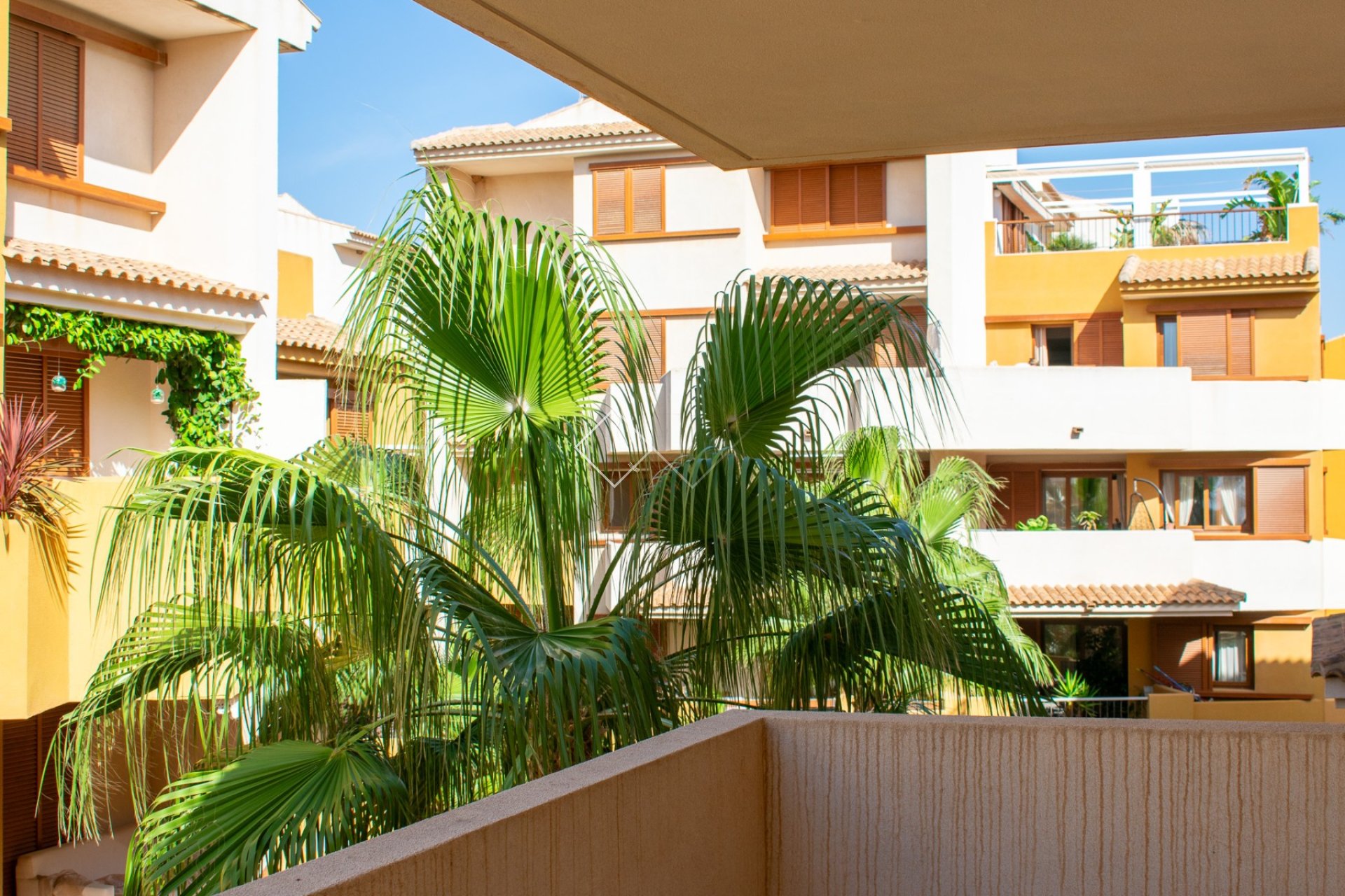  - Appartement / Logement - Torrevieja - Punta Prima