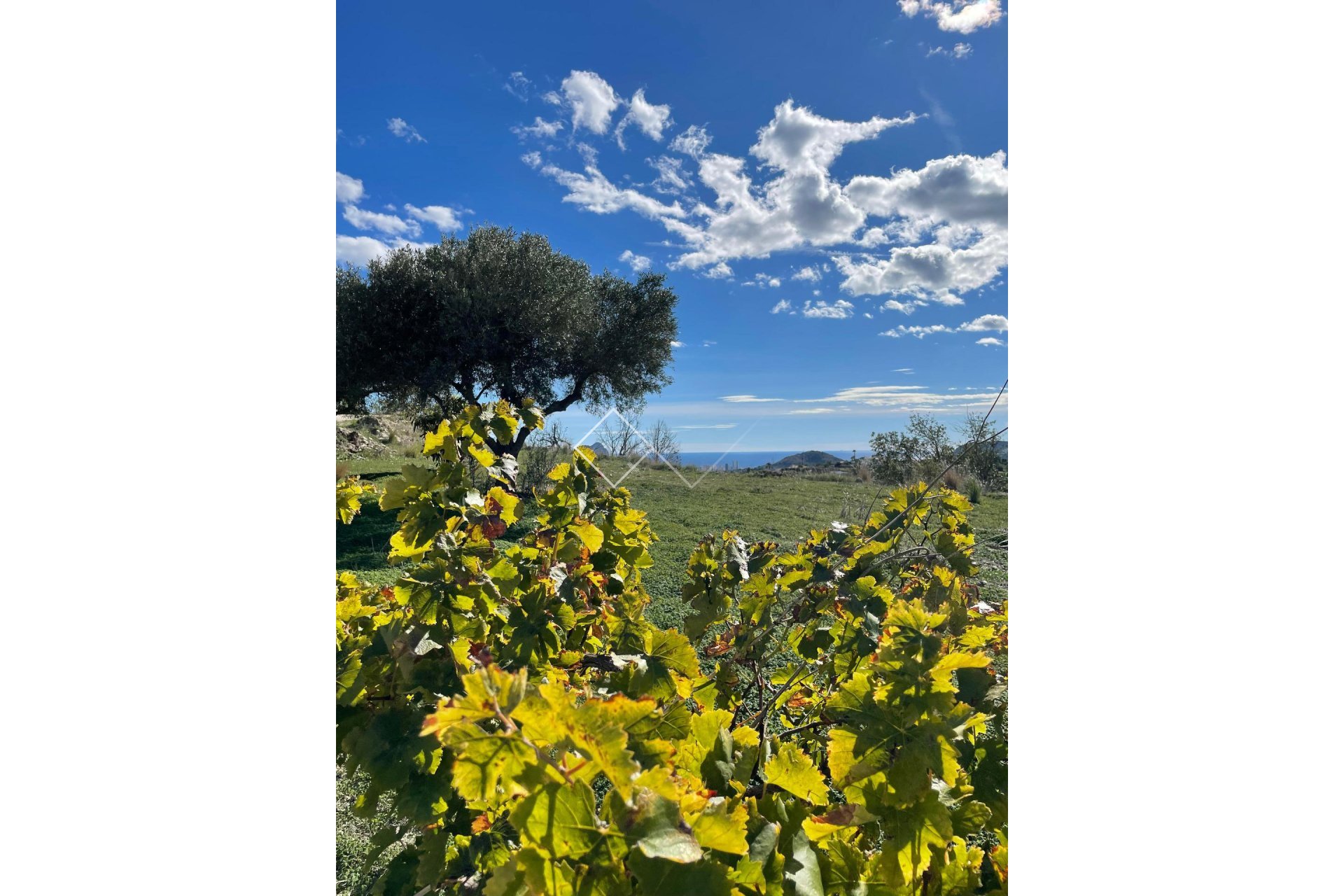  - country_house - Benissa - Casco Urbano