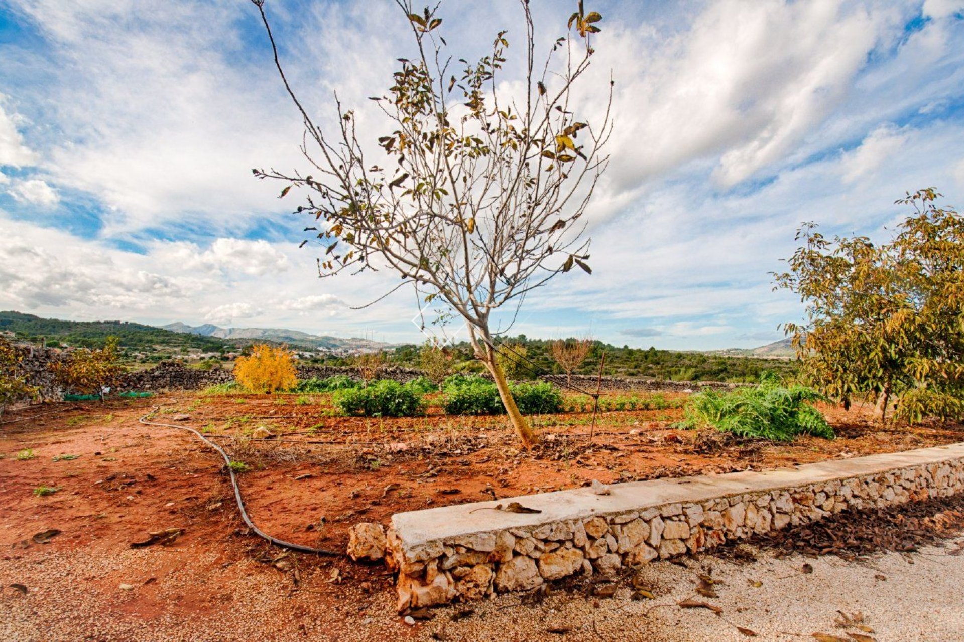  - Finca - Gata de gorgos - Gata de Gorgos