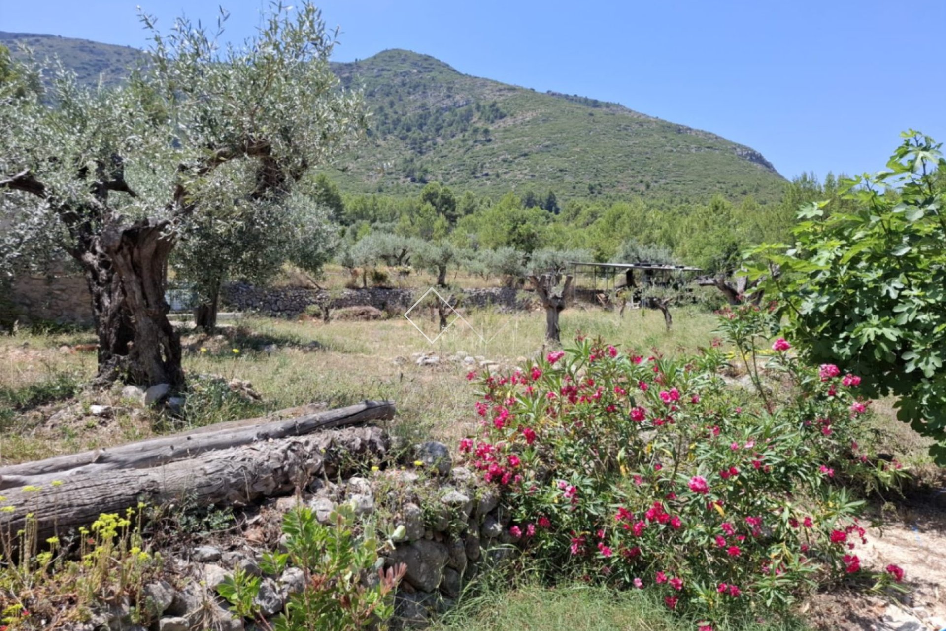 - Finca - Parcent
