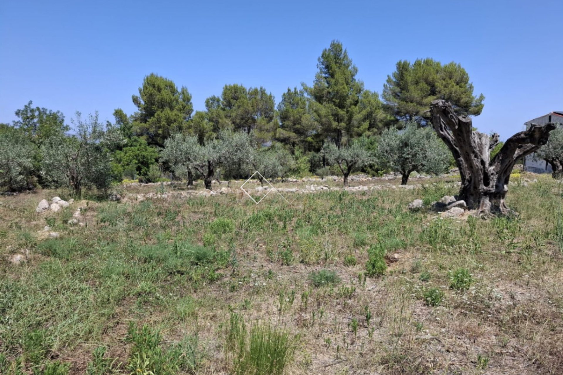  - Finca - Parcent