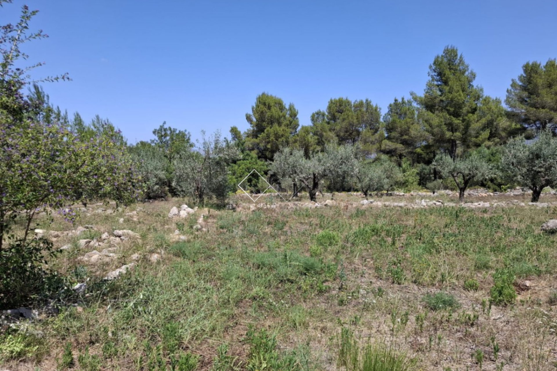  - Finca - Parcent