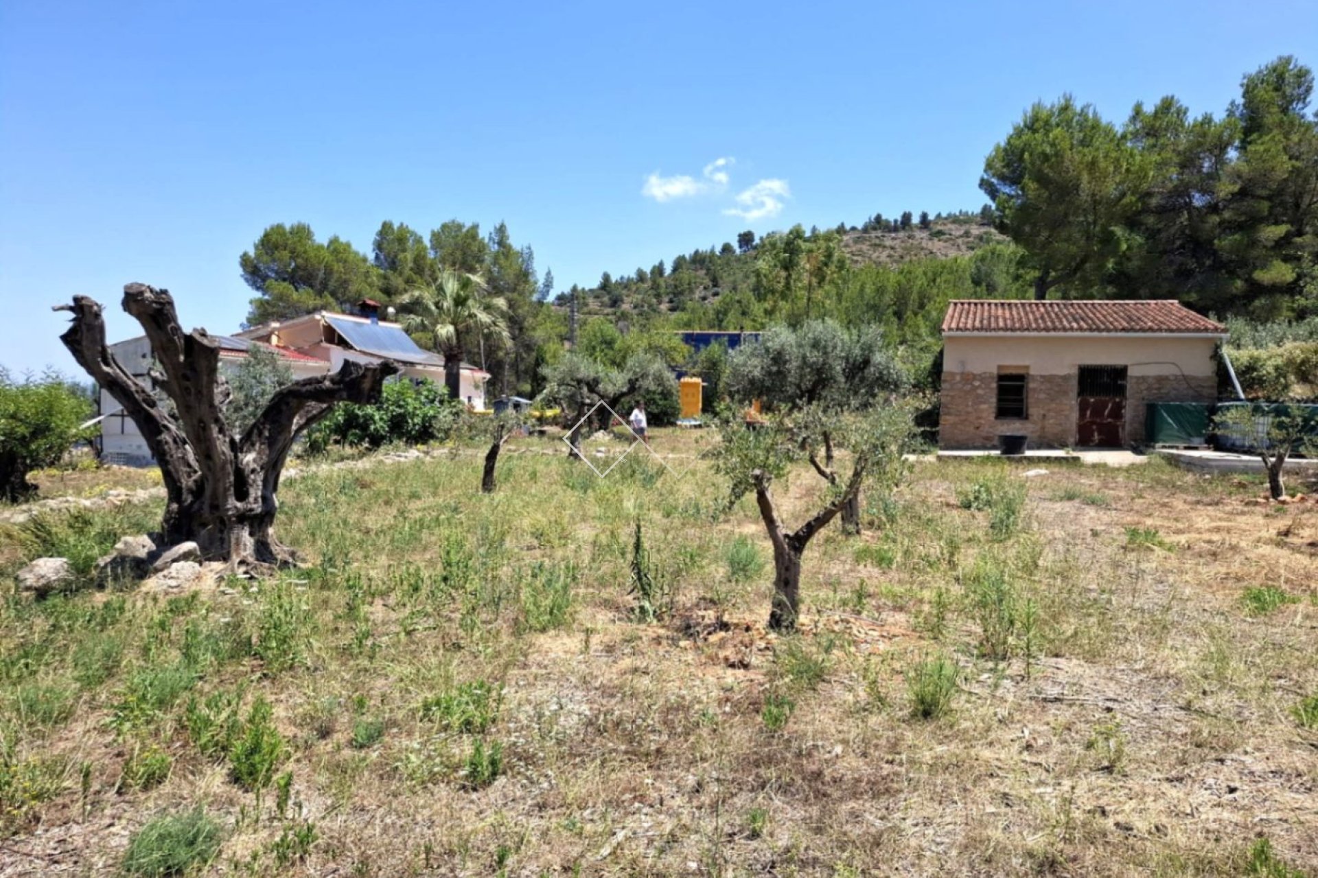  - Finca - Parcent