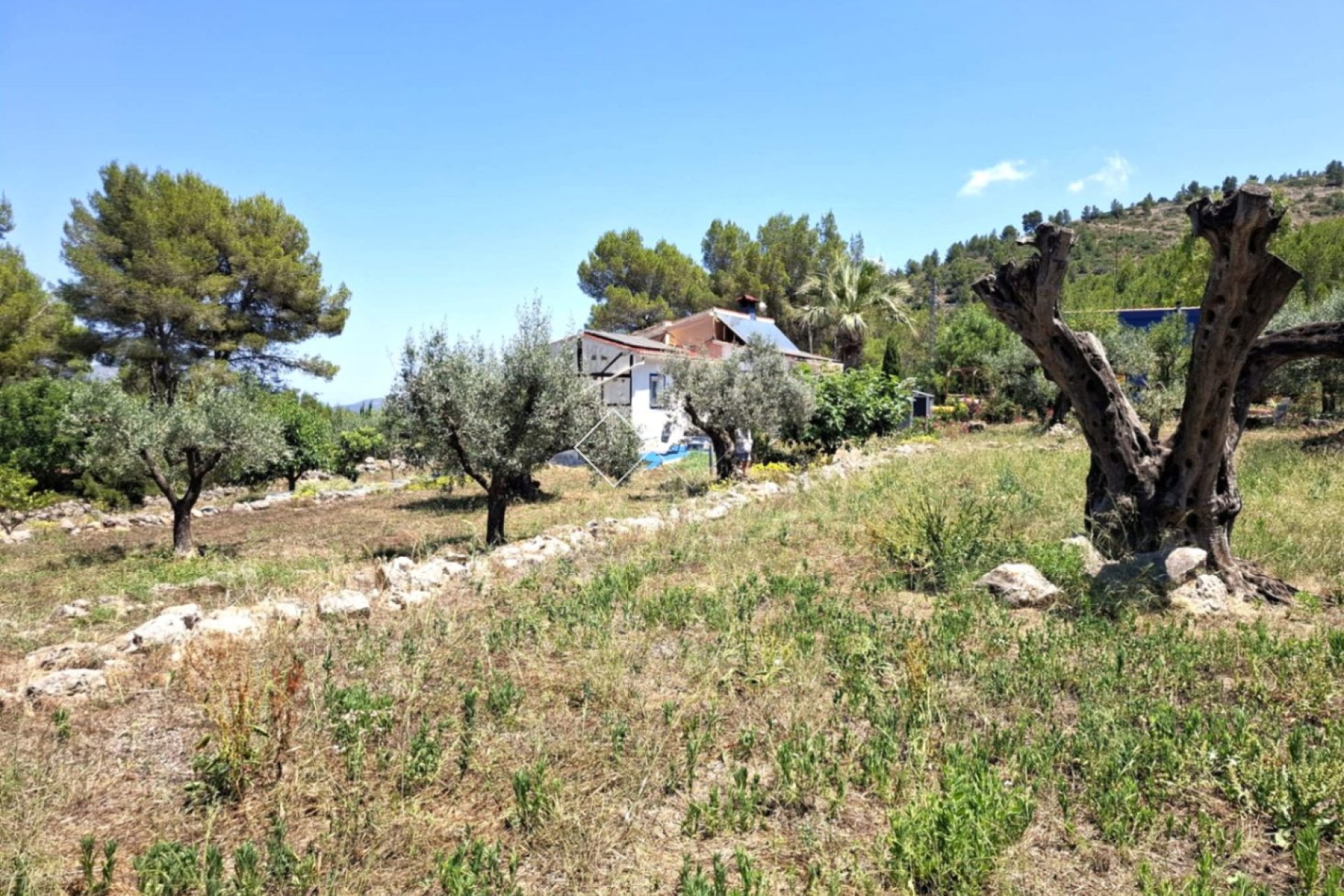  - Finca - Parcent