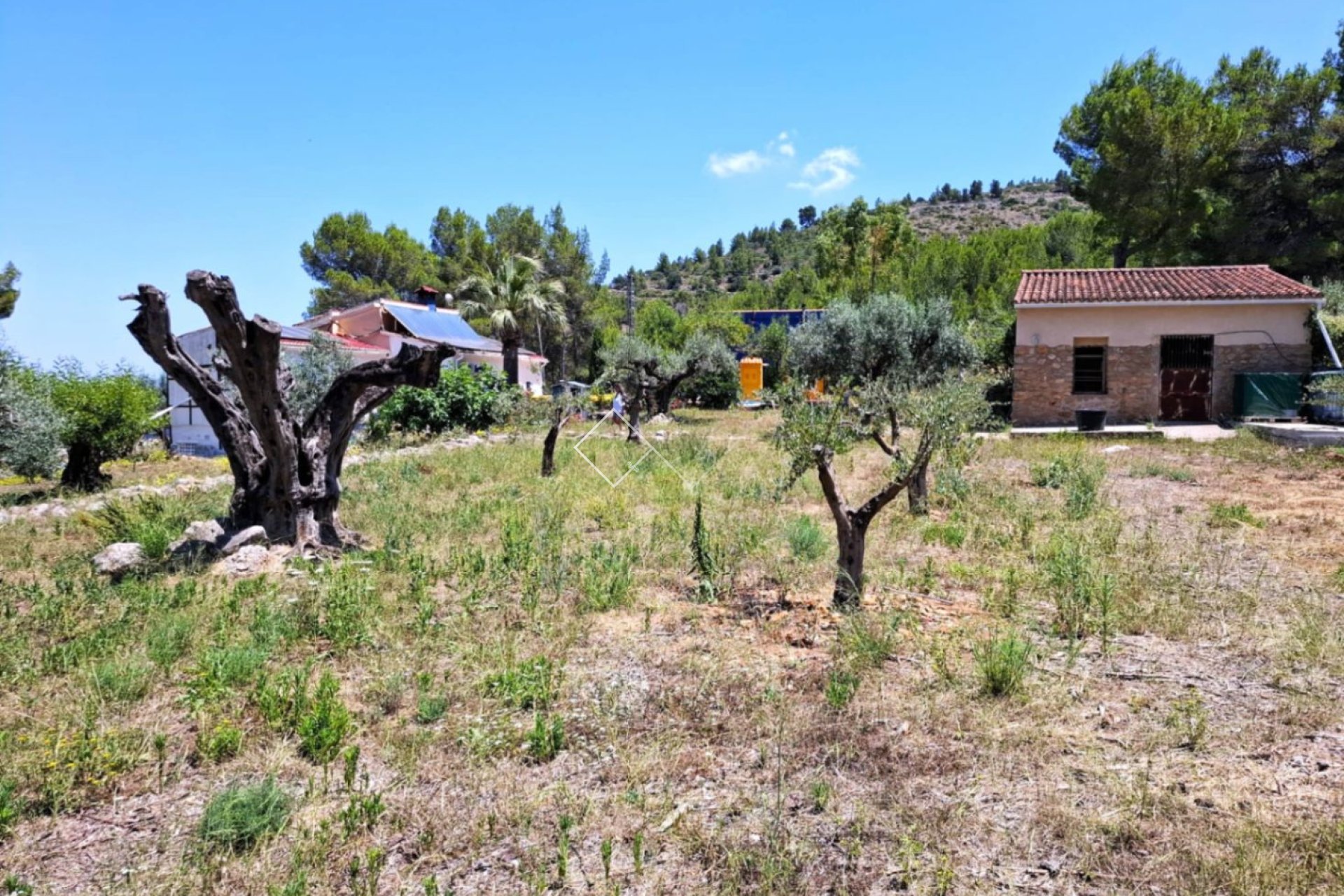  - Finca - Parcent
