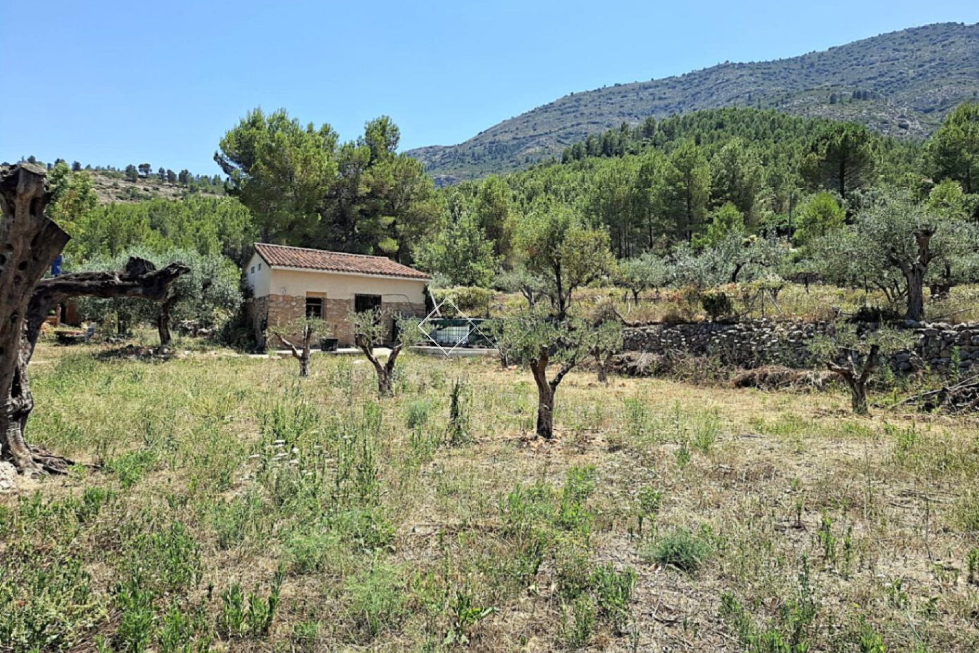  - Finca - Parcent
