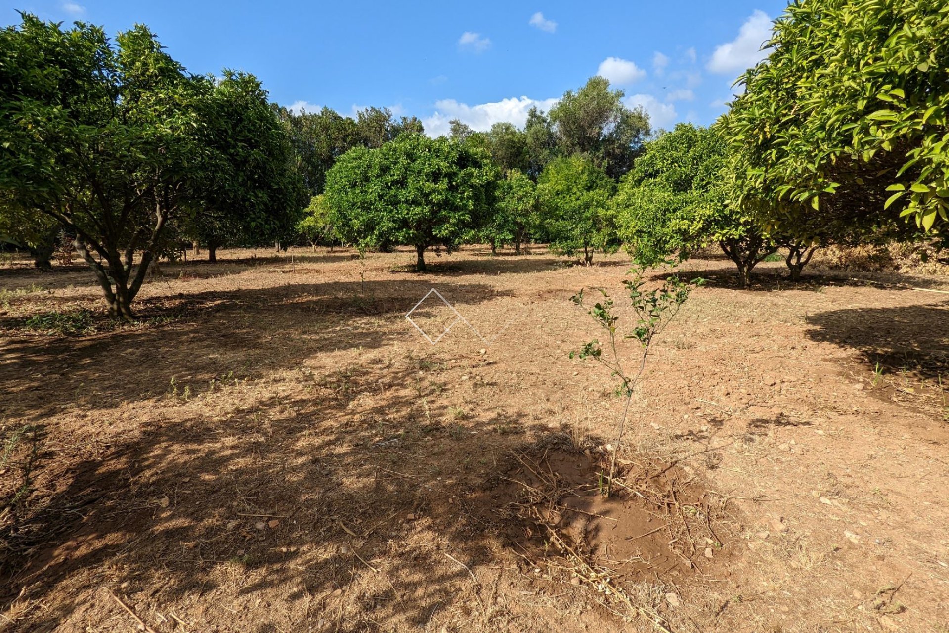  - Ground - Denia - Sportcentrum