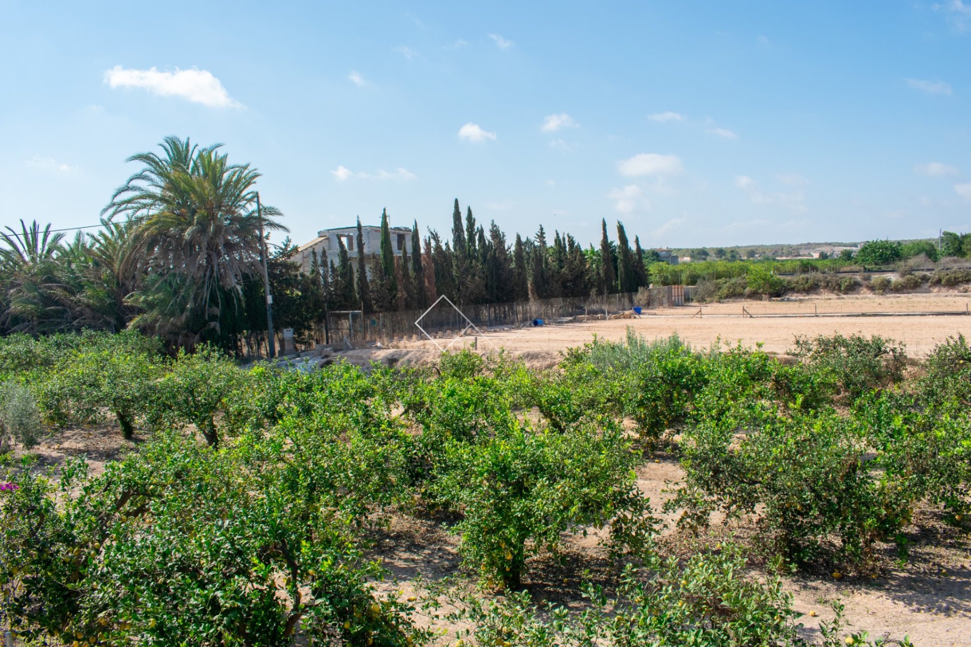  - Independent villa - Guardamar del Segura - El Raso