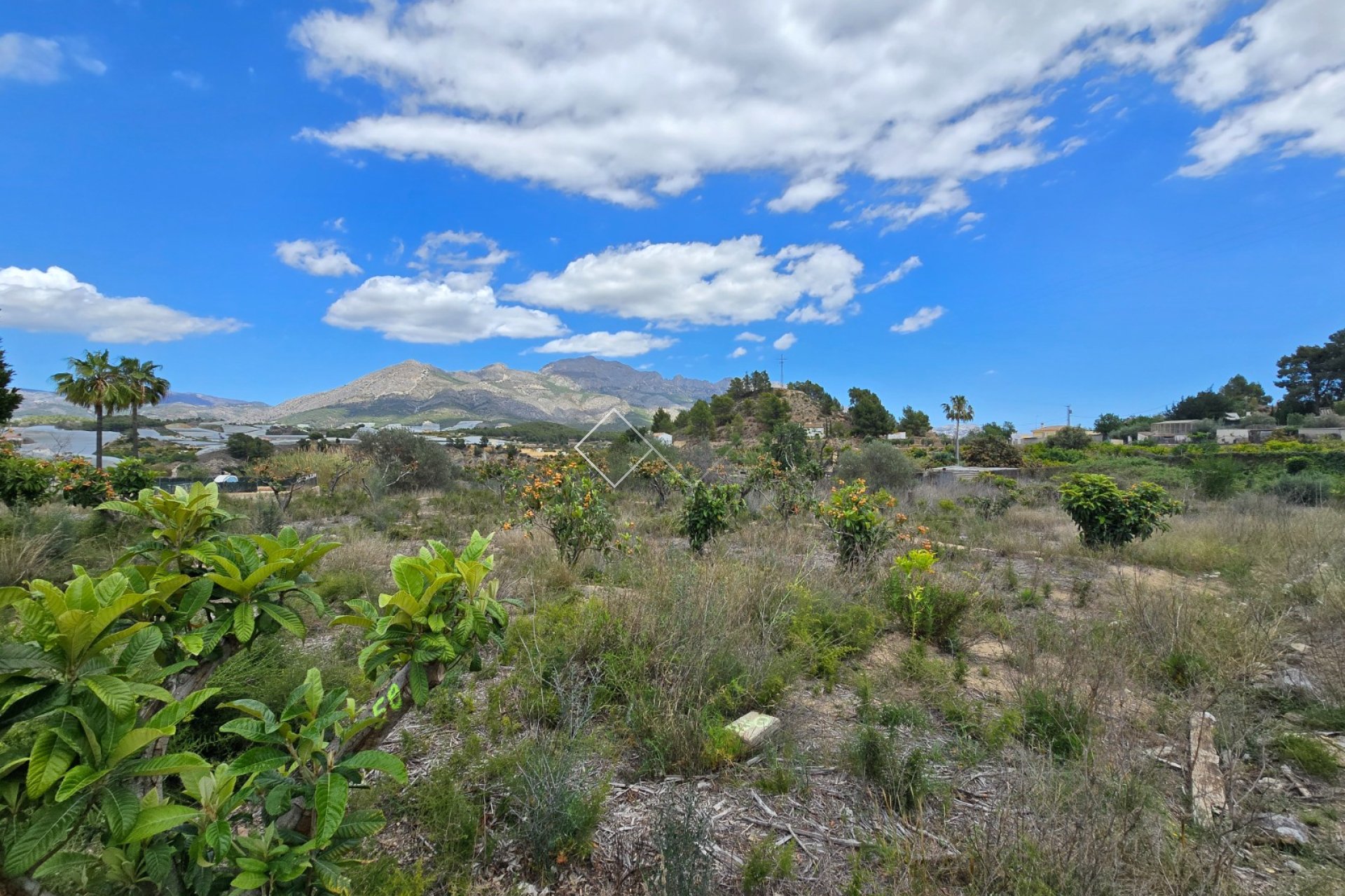  - Independent villa - La Nucia - La Nucía