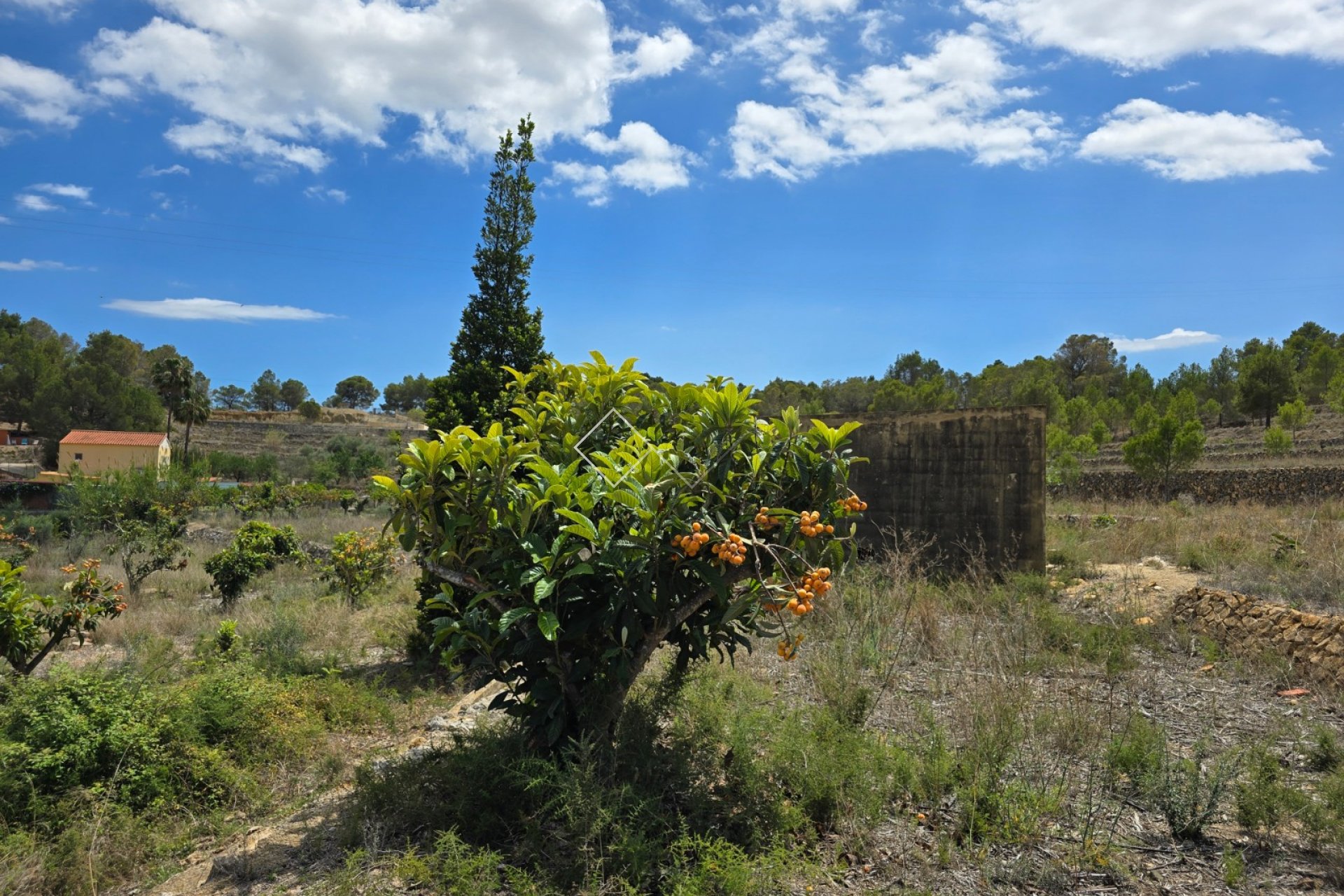  - Independent villa - La Nucia - La Nucía