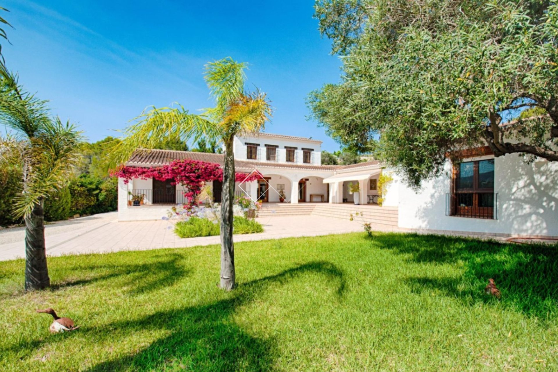  - Maison de campagne - Benissa - campo