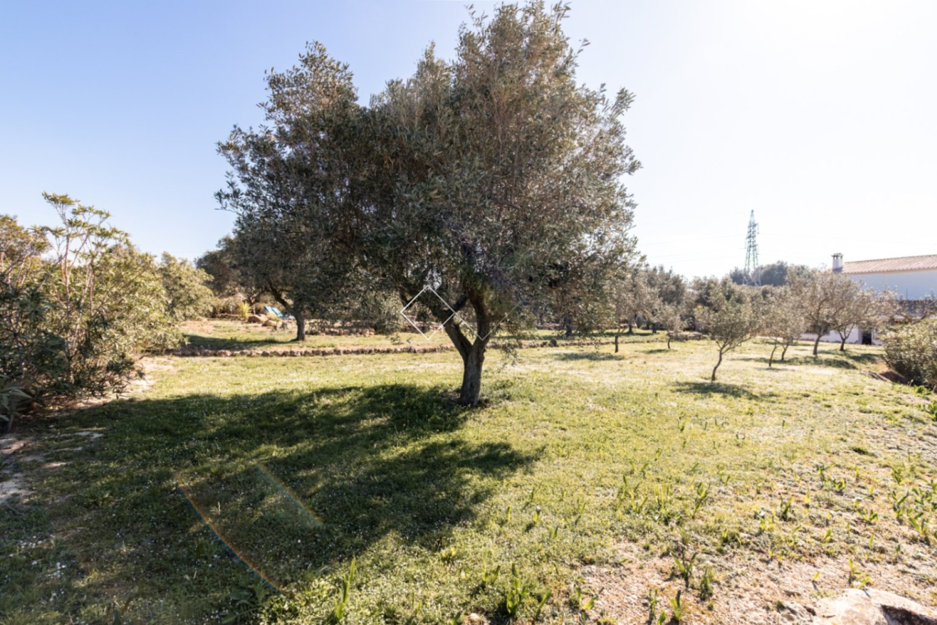 Neubau - Finca - Teulada - Partida Canor