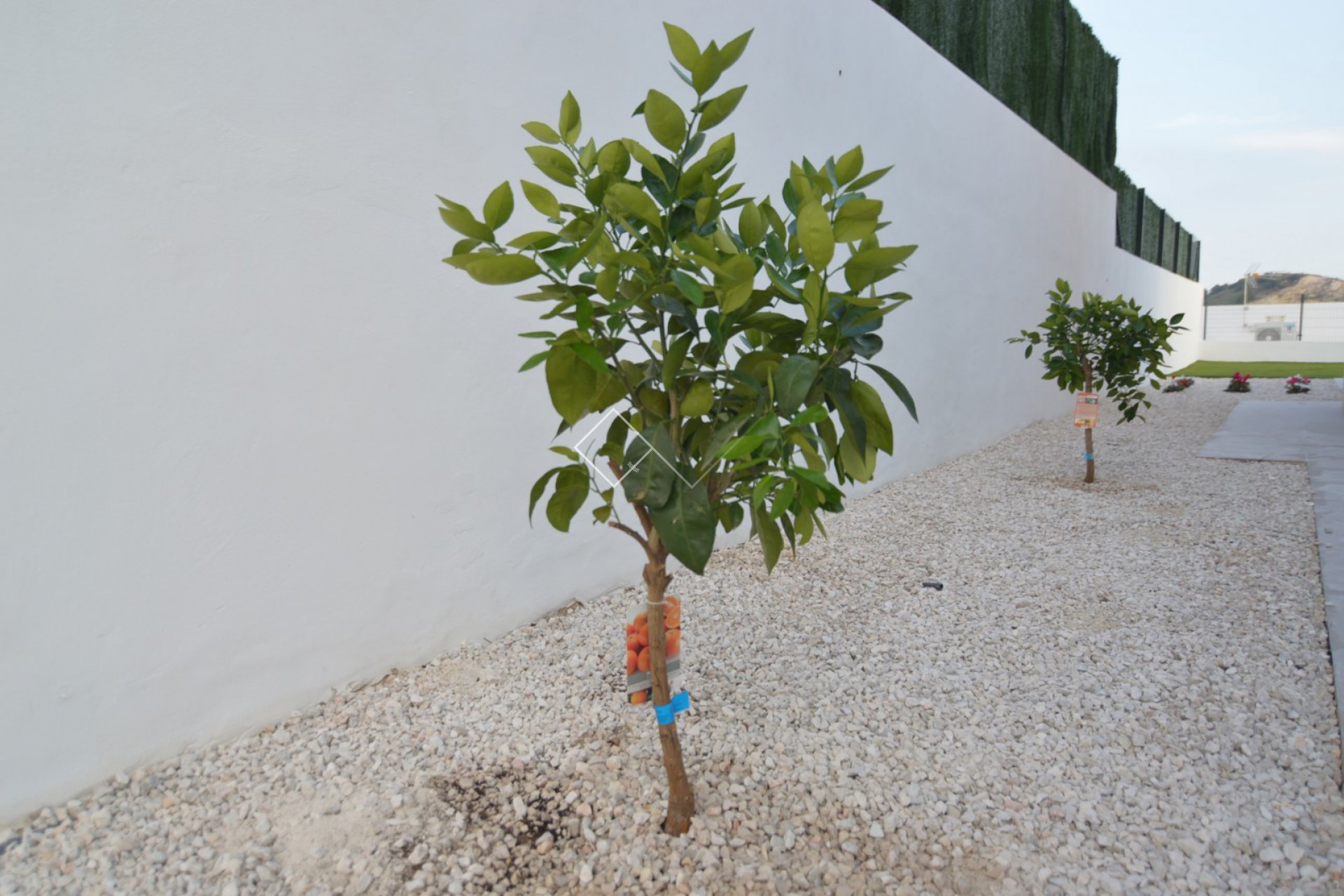 Neuf - Villa - Benidorm - Finestrat