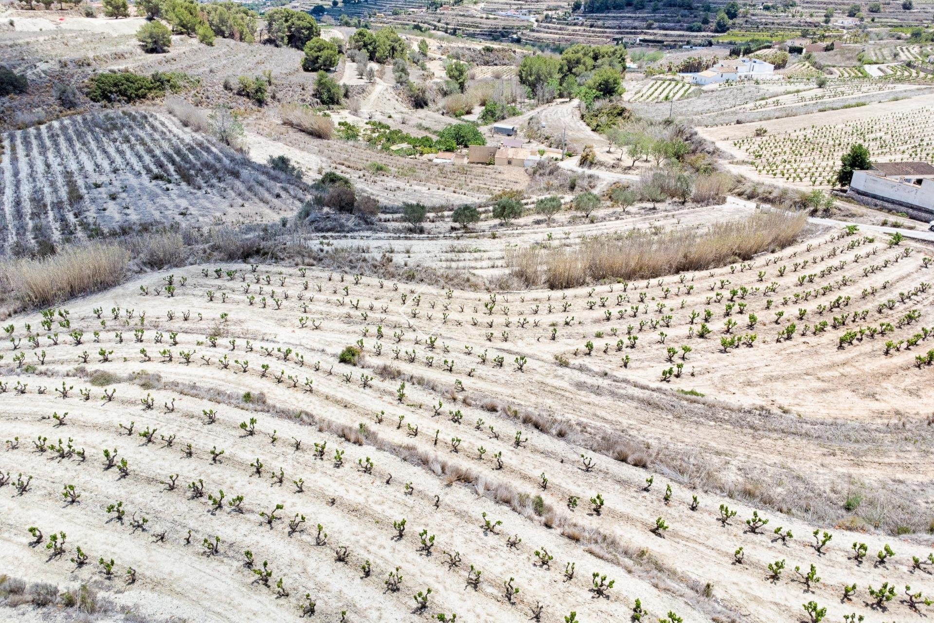  - Parcelas y Terrenos - Moraira