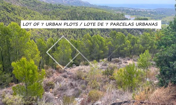 Parcelles et Terrains -  - Altea - Urbanización Santa Clara