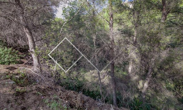 Parcelles et Terrains -  - Benissa - Benissa