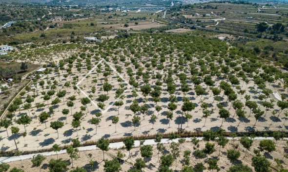 Parcelles et Terrains -  - Benissa - Benissa