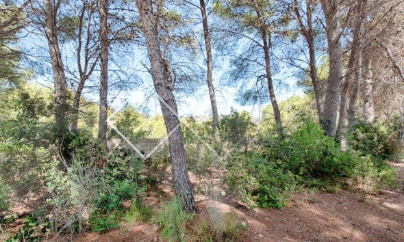 Parcelles et Terrains -  - Benissa - Benissa