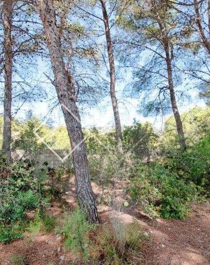 Parcelles et Terrains -  - Benissa - Benissa