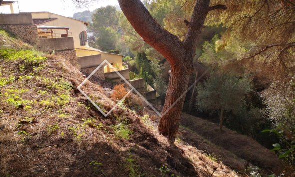 Parcelles et Terrains -  - Benissa - Buenavista