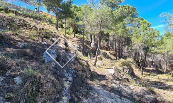 Parcelles et Terrains -  - Calpe - calpe