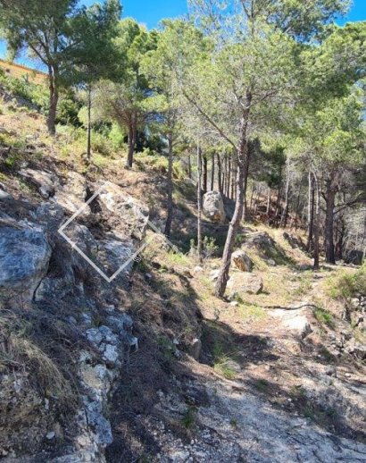 Parcelles et Terrains -  - Calpe - calpe