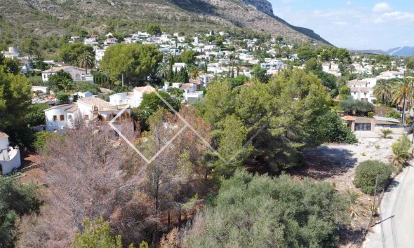 Parcelles et Terrains -  - Denia - Don Quijote