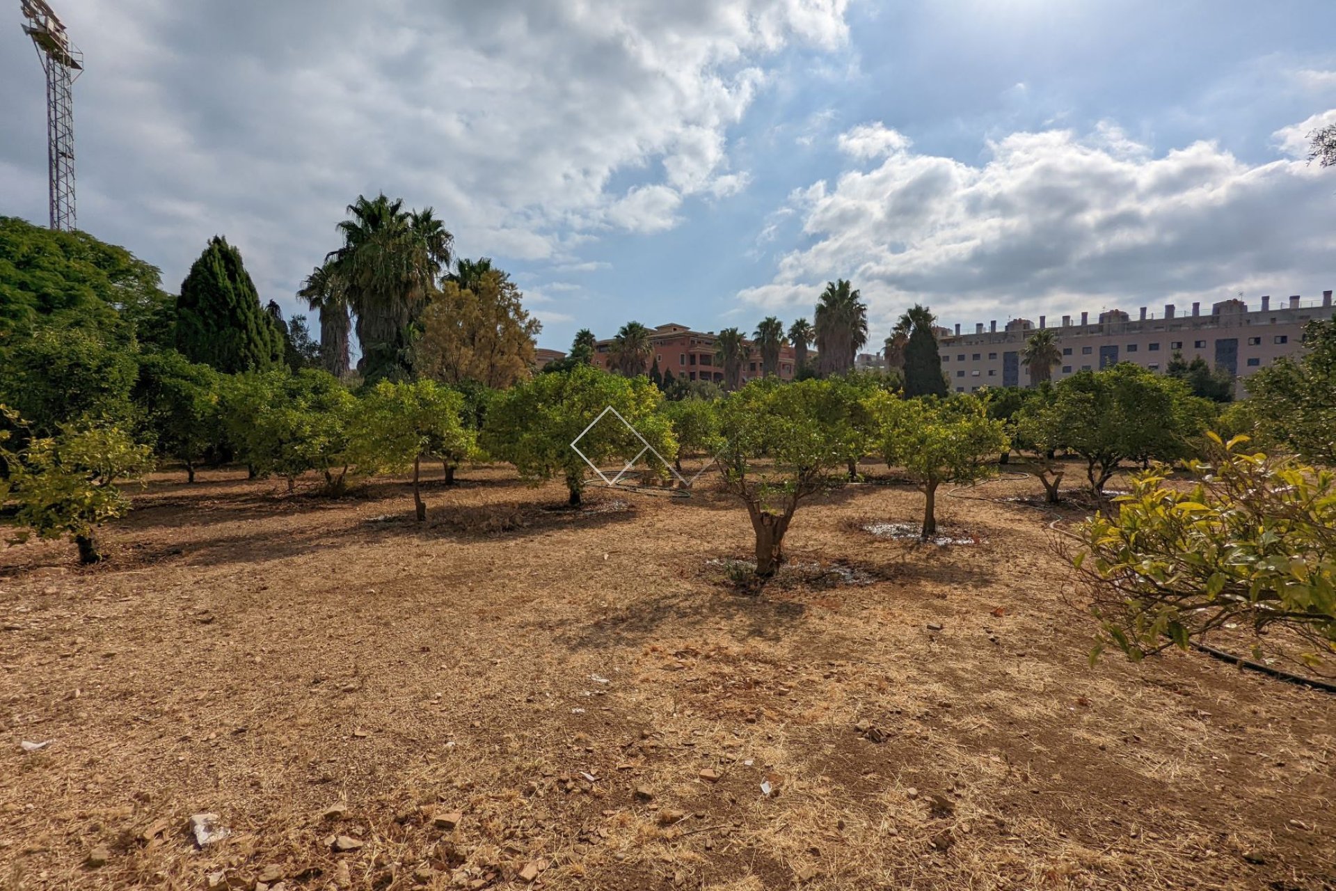  - Parcelles et Terrains - Denia - Sportcentrum