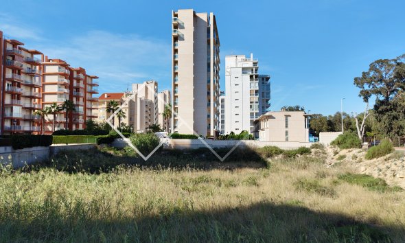 Parcelles et Terrains -  - Guardamar del Segura - Guardamar pueblo