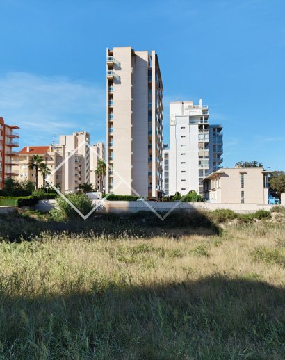 Parcelles et Terrains -  - Guardamar del Segura - Guardamar pueblo