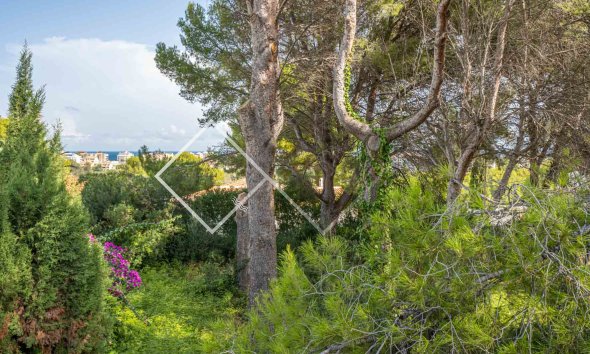 Parcelles et Terrains -  - Javea - Adsubia