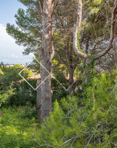 Parcelles et Terrains -  - Javea - Adsubia