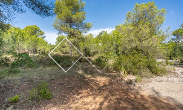 Parcelles et Terrains -  - Javea - Pinosol