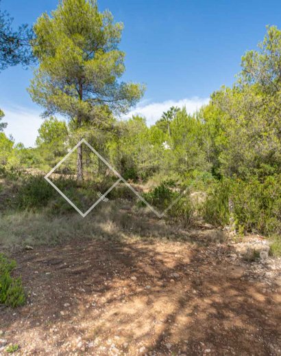 Parcelles et Terrains -  - Javea - Pinosol