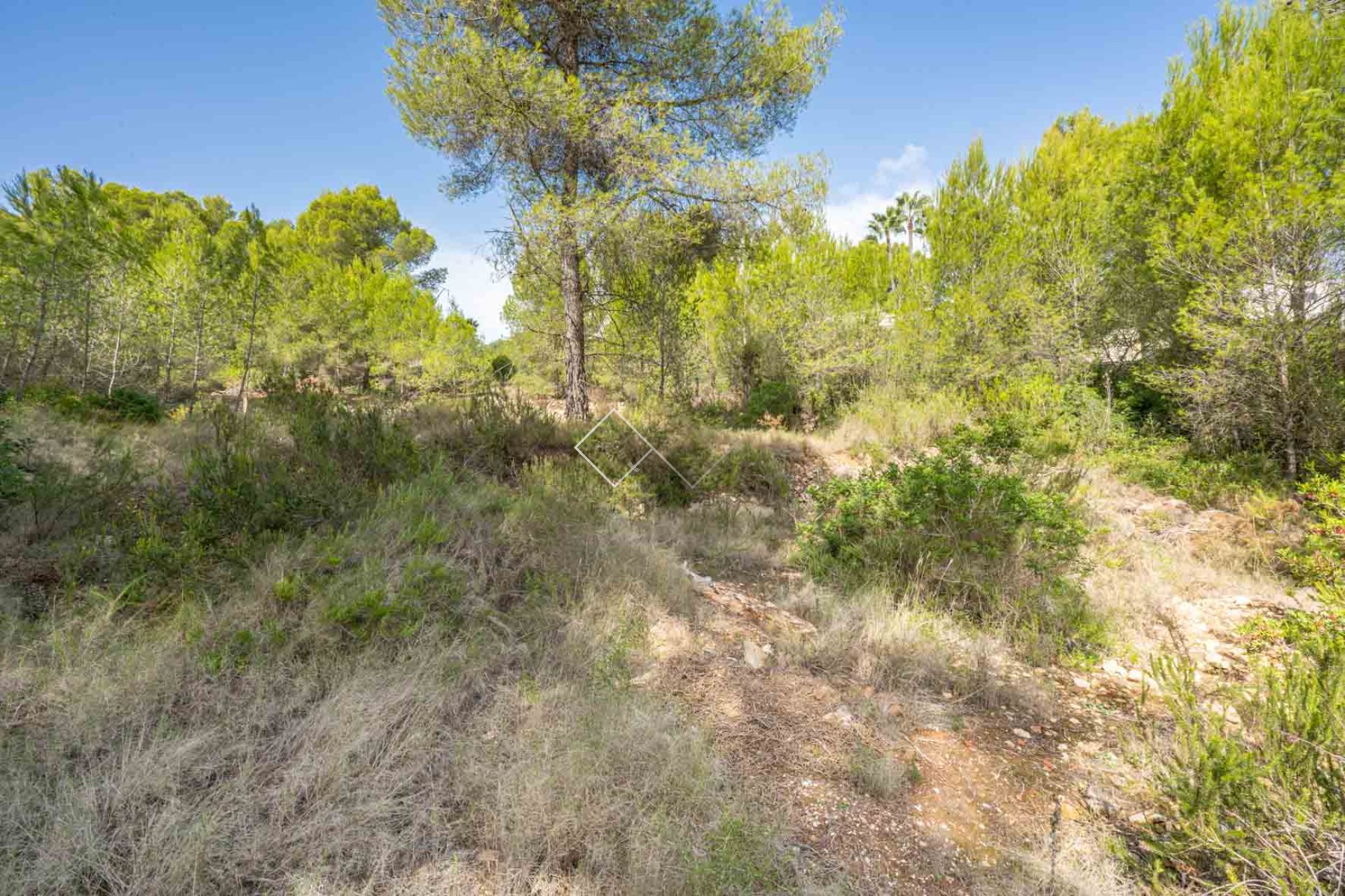  - Parcelles et Terrains - Javea - Pinosol