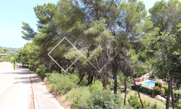 Parcelles et Terrains -  - Javea - Tosalet