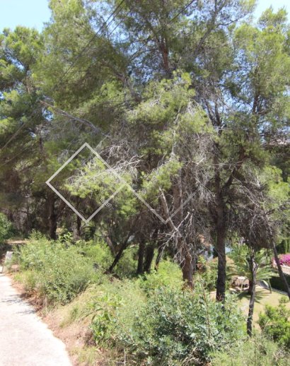 Parcelles et Terrains -  - Javea - Tosalet