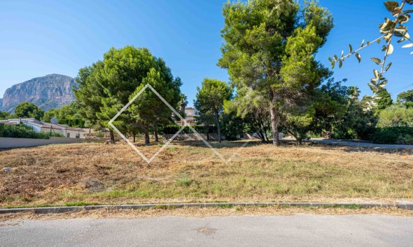 Parcelles et Terrains -  - Javea - Tossals