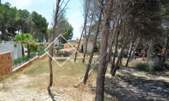 Parcelles et Terrains -  - Moraira - Pinar de l’Advocat