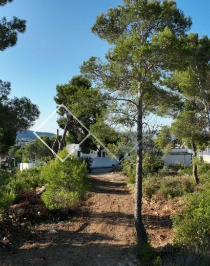 Parcelles et Terrains -  - Teulada - Benimeit