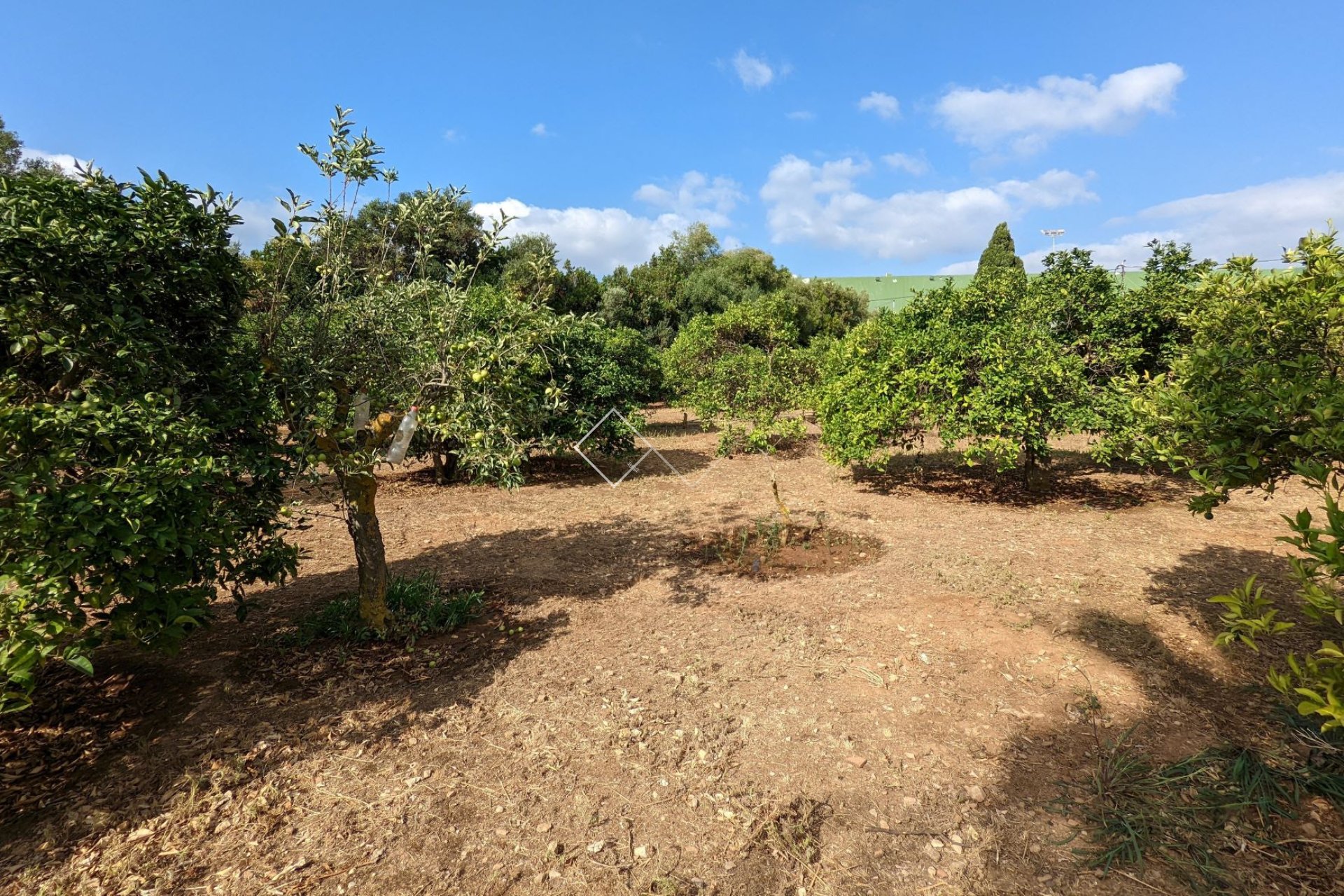  - Parzellen und Grundstücke - Denia - Sportcentrum