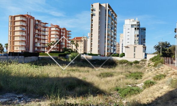 Parzellen und Grundstücke -  - Guardamar del Segura - ND-76844