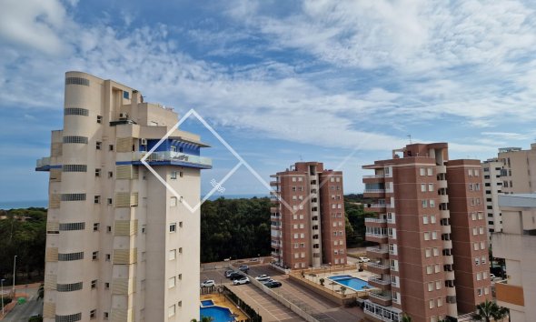 Penthouse -  - Guardamar del Segura - Guardamar del Segura